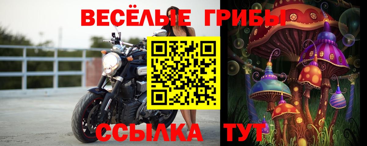 Сатка  Галлюциногенные грибы Psilocybe  Вход с VPN 